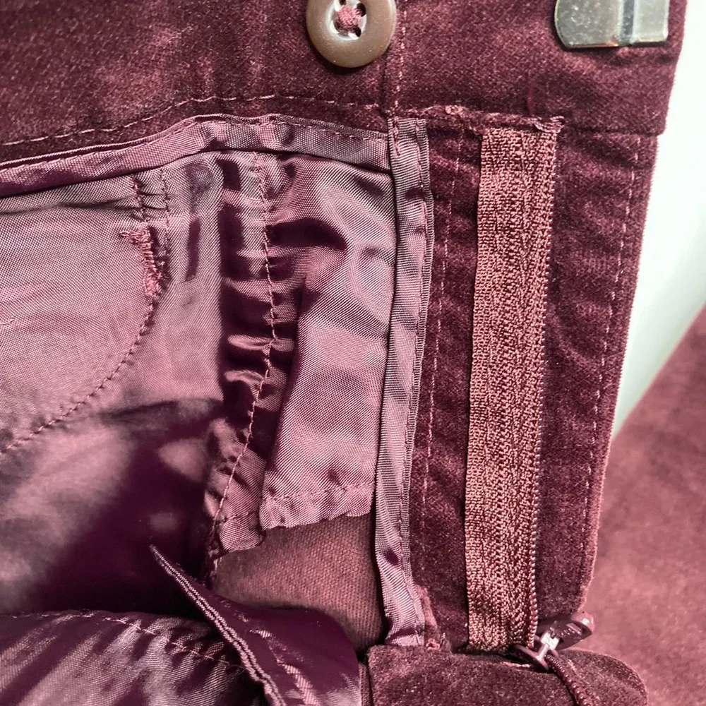 Banana Republic Sloan Burgundy Velvet Skinny Pants Sz.4 - Picture 4 of 8